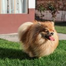 24시 센텀동물메디컬센터 연산점 이미지