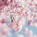 마음미소정신건강의학과의원 이미지