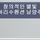 별빛아리수펜션