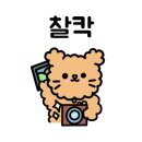 용용선생 대구계명대점 이미지