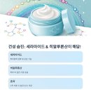 지성솔루션