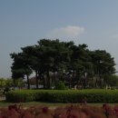 구리한강시민공원 이미지