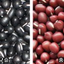 검정 이미지