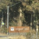 안덕면 명상 | [제주 서귀포 숙소] 에가톳 캐빈 CANOLA 2박 3일 솔직 자세한 후기 ; 조식 | 핫텁 꿀팁 | 근처 맛집