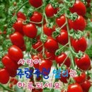 화이팅 이미지