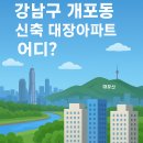 개포자이프레지던스시니어클럽경로당 | 서울특별시 강남구, 개포동 신축 4대장 단지 선호도 및 특성 요약