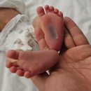 피자헛수유점 | 자곡동 엘 산후조리원 2주 후기(vvip/vip) / 초산모 제왕절개 / 둘째 낳는다면 또 올 예정인 산후조리원