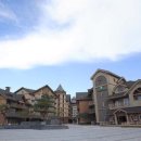 알펜시아 스포츠파크 크로스컨트리 경기장 이미지