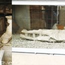 STEADY(스테디) 이미지