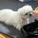 설봉사우나 이미지