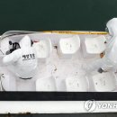 의항농장 이미지