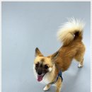 우다다댕산 이미지