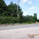 길안청송로(길안면) 이미지