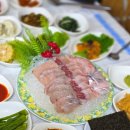 엔돌핀 선어 이미지