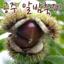공주맛있는과일
