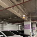 르페어 | 준비물] 2025 코엑스 베이비페어 주차꿀팁+쇼핑리스트 후기 (쁘띠마리에, 르베베, 베베숲, 베베루나...