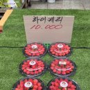 흥부네과일 이미지