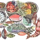 헬스닷컴 이미지