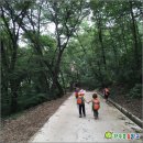 숲으로 가는 어린이집 이미지