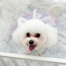 헤이몽 네이버블로그