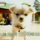 성찬목장 이미지