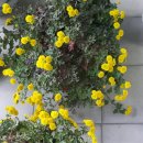 우리화원 이미지