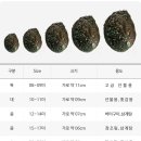 나는어부다 참전복 이미지