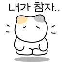 미므미므 이미지