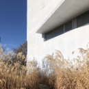 미메시스아트뮤지엄 네이버블로그