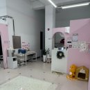 캉스펫 이미지