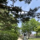 역전게임랜드 이미지