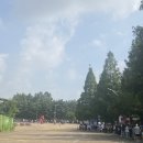 위닝플랜 | 김광현 위닝플랜! kk 유니폼 받은 후기(웨이팅 팁)