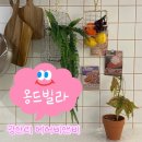 옹드빌라 | [부산여행] 광안리 숙소 추천 | 광안리 옹드빌라 304 | 광안리 에어비앤비 인스타 감성 숙소 추천