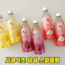 사과식초 대신 찾은 탄산음료 당쉼 스파클링 애플 체리 레몬 제로칼로리 후기