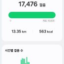 의령친환경골프장 | 가성비 최고 페어웨이 카트 진입 가능한 친환경 골프장