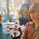 (주)송윤 이미지