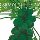 행복이가득한집 이미지