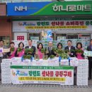 서울서남부농협하나로마트 이미지