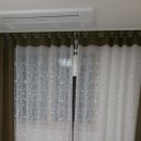 블루시티퀸덤 이미지