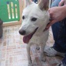 서림빌딩 이미지