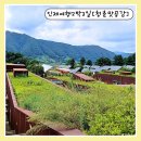 인제DMZ유기산채 | 청촌맛공감 인제 DMZ 2박3일 여행 1일차 감자이야기부터 찜질방체험