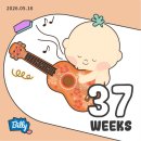 둘째 임신 37주 마지막 검진/막달검사 결과/산모+태아 몸무게/마의 37주인가/선택제왕 날짜 확정/막달...
