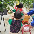 유민농장 이미지