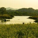 _나루터로2-2_ 이미지