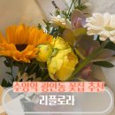 리플로라 이미지