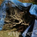 방죽골농장 이미지