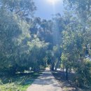 킹스가든 이미지