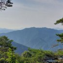 군자산가든 Daum카페