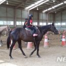 사천승마장 이미지