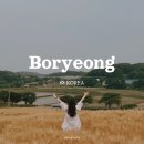 보령시도로교통과 | 충남 보령 가볼 만한 곳 천북 청보리밭 실시간 현황